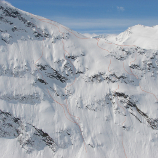 the spectator`s view from the face