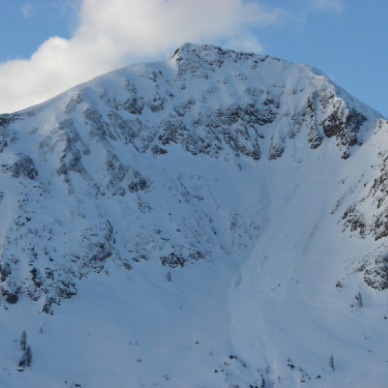 the wildseeloder - too low tide for a comp this year